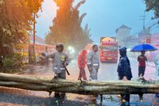 Hujan Deras, Pohon Tumbang dan Banjir Ganggu Aktivitas Warga Lamongan 10 Hujan Deras, Pohon Tumbang dan Banjir Ganggu Aktivitas Warga Lamongan