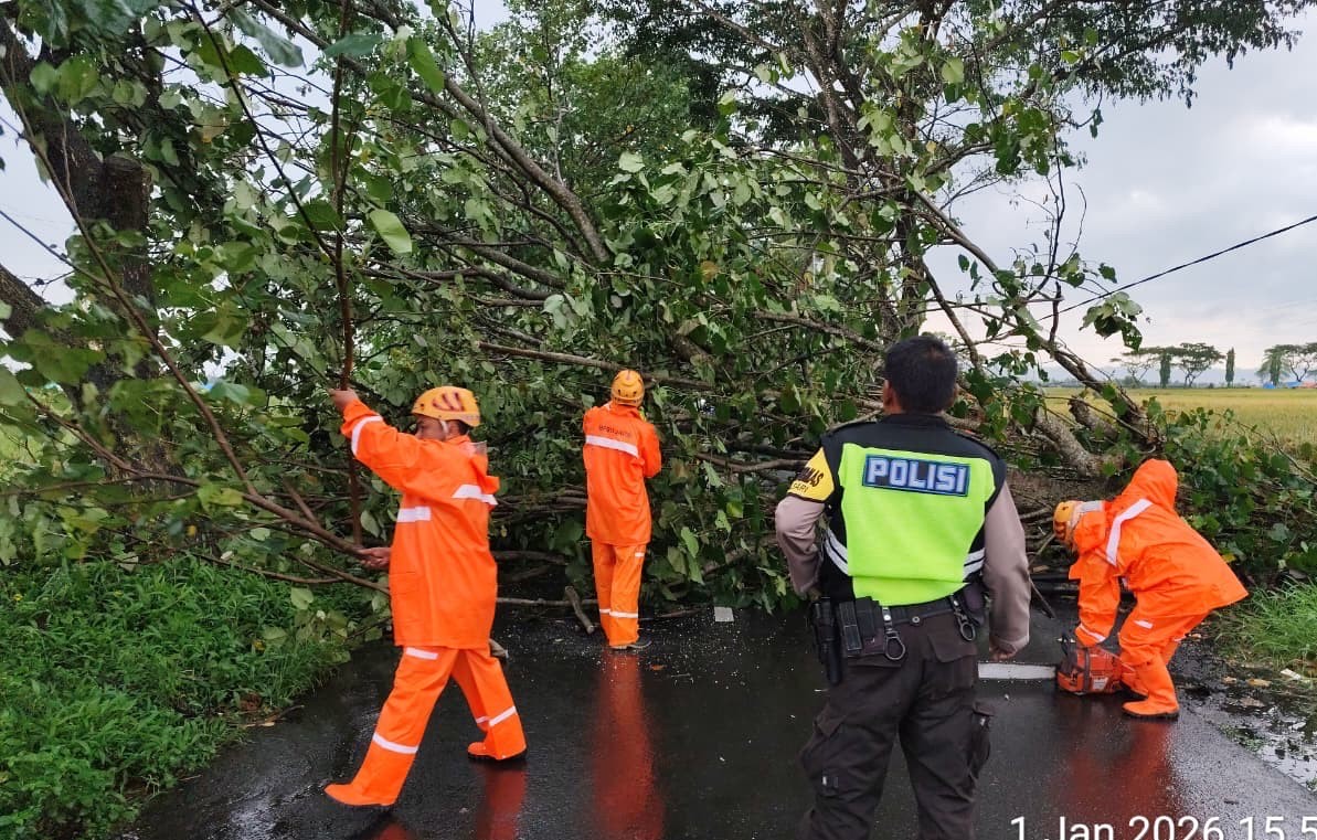 7417f619 9ac0 4245 9ace 68714ba39e5a