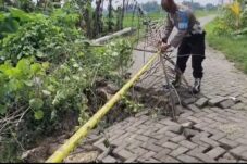 7531e431 cfe2 40ef 81c5 4031dfede6b4