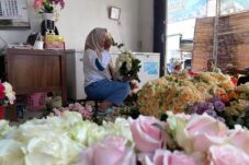 7e71e9d6 a91d 40ba b837 2acb52b8f8e9