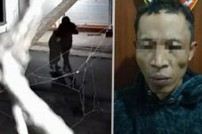 97e7f5d7 4645 4f70 85bf bbdc673f6971