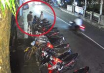 9e572786 003a 4475 a9f4 756555dcde17