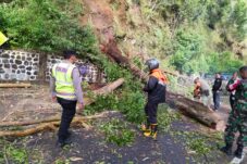 IMG 20260124 WA00471