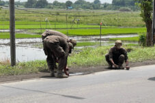 Satpol PP Sidoarjo Amankan Ribuan Ranjau Paku di Jalan Lingkar Timur 17 IMG 20260116 182846