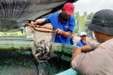 b50dfc8e 76f3 4f7b 853e a1db25c2c82d