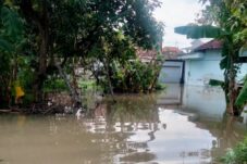 bb0c2ff1 ba30 4f93 a845 5f8175fcf7eb