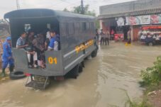 cd589cb2 409a 436c 98d8 104b464d3469