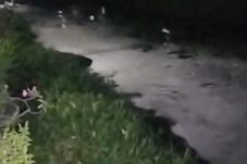 ce6c8c99 1c5e 4be0 b362 0a0acfb19336