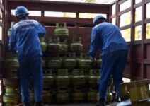 d09ceb56 8e98 4a74 8075 10e59d478460