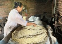 Produsen Tempe di Kabupaten Malang Keluhkan Naiknya Harga Kedelai