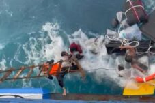 f96b6c11 5da5 4aff b97a d3670d5fba0c