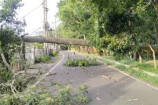 fb209aa0 f41e 4cc3 8cdb e2a6c67b42b1