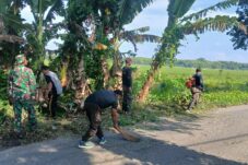 0c5ce09f dacc 46f4 b1d2 537ada6f1067