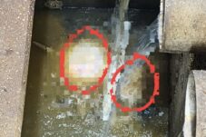 46983d87 5e8d 4772 a14f 550527d1b629