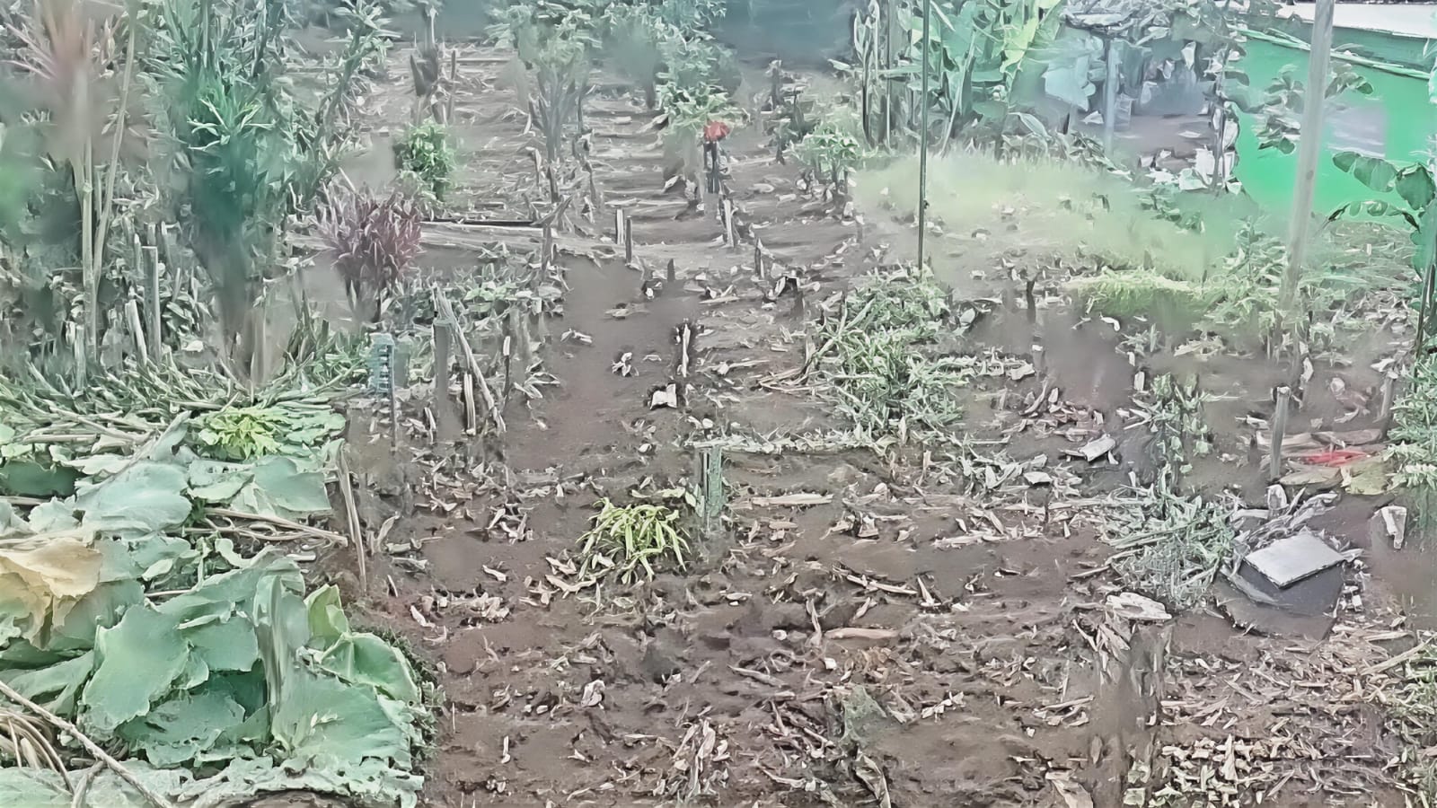 Sejumlah Makam di TPU Cembo Batu Dirusak, Video 4 Menit Viral di Medsos