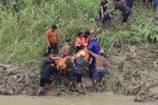 983492ea 958a 4729 9264 3794e2e4d49a