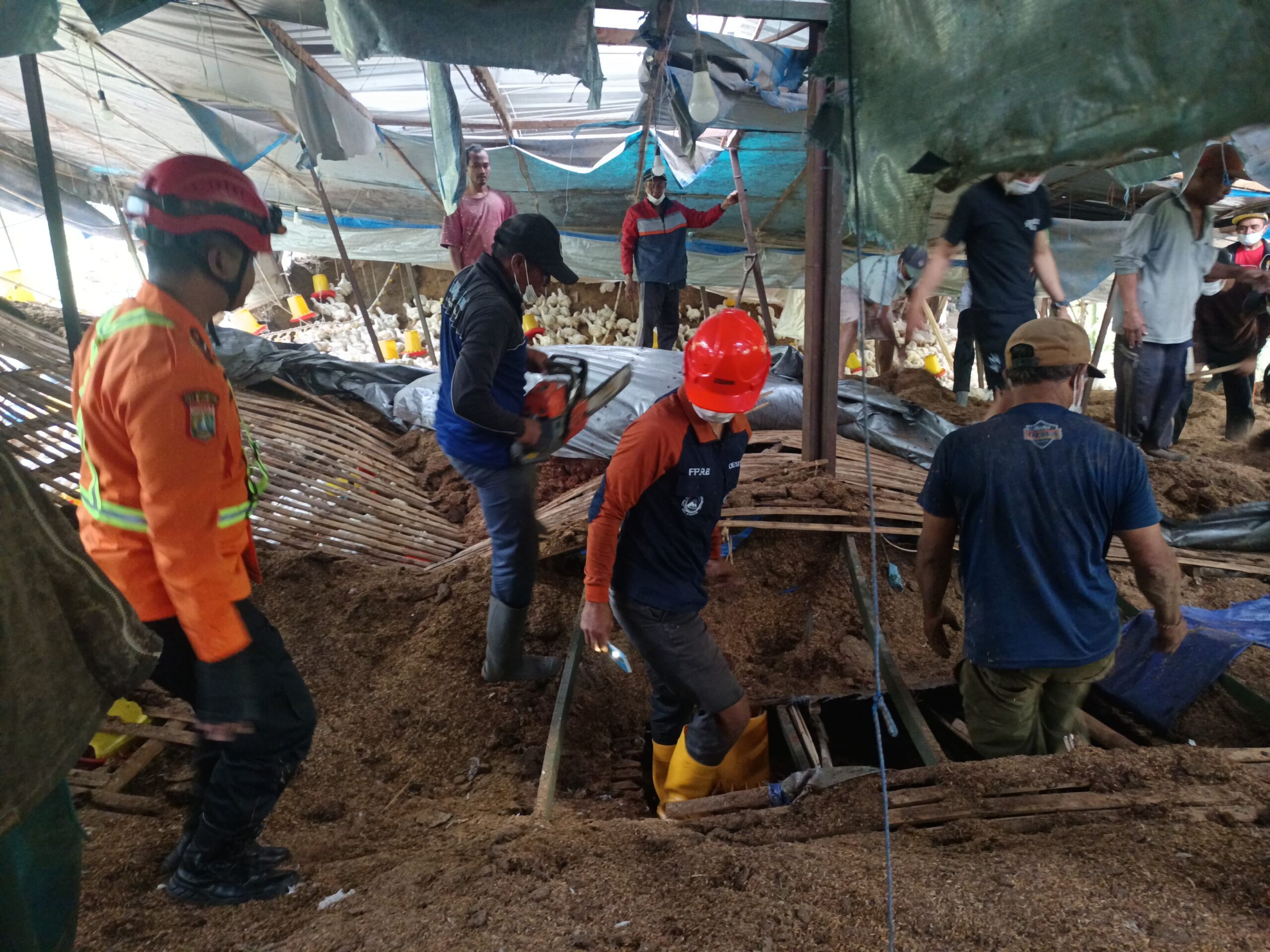 Kandang Ayam Ambruk di Malang, Dua Pekerja Tewas dan Tiga Luka-Luka