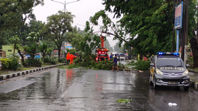 BMKG Peringatkan Potensi Cuaca Ekstrem di Seluruh Jawa Timur hingga 20 Februari