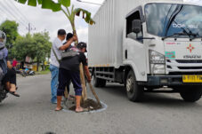 Warga Sadang Tanam Pohon Pisang di Jalan Berlubang Usai Kecelakaan Maut