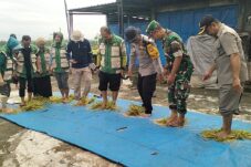 Danramil Ngimbang Pimpin Panen Raya Padi di Munungrejo 1 Danramil Ngimbang Pimpin Panen Raya Padi di Munungrejo