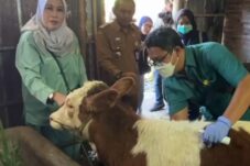 aa6a0f1a ee23 404f bc29 1fbb84603988