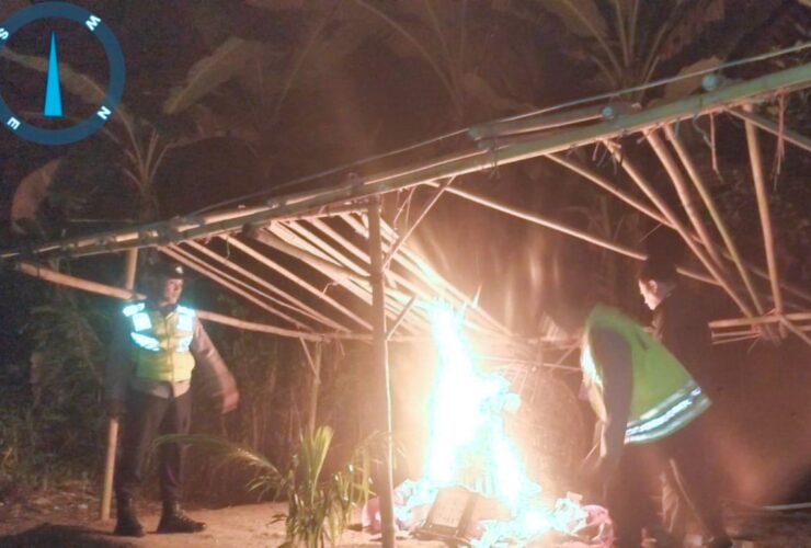 Polres Malang Bongkar Arena Sabung Ayam di Malang Selatan