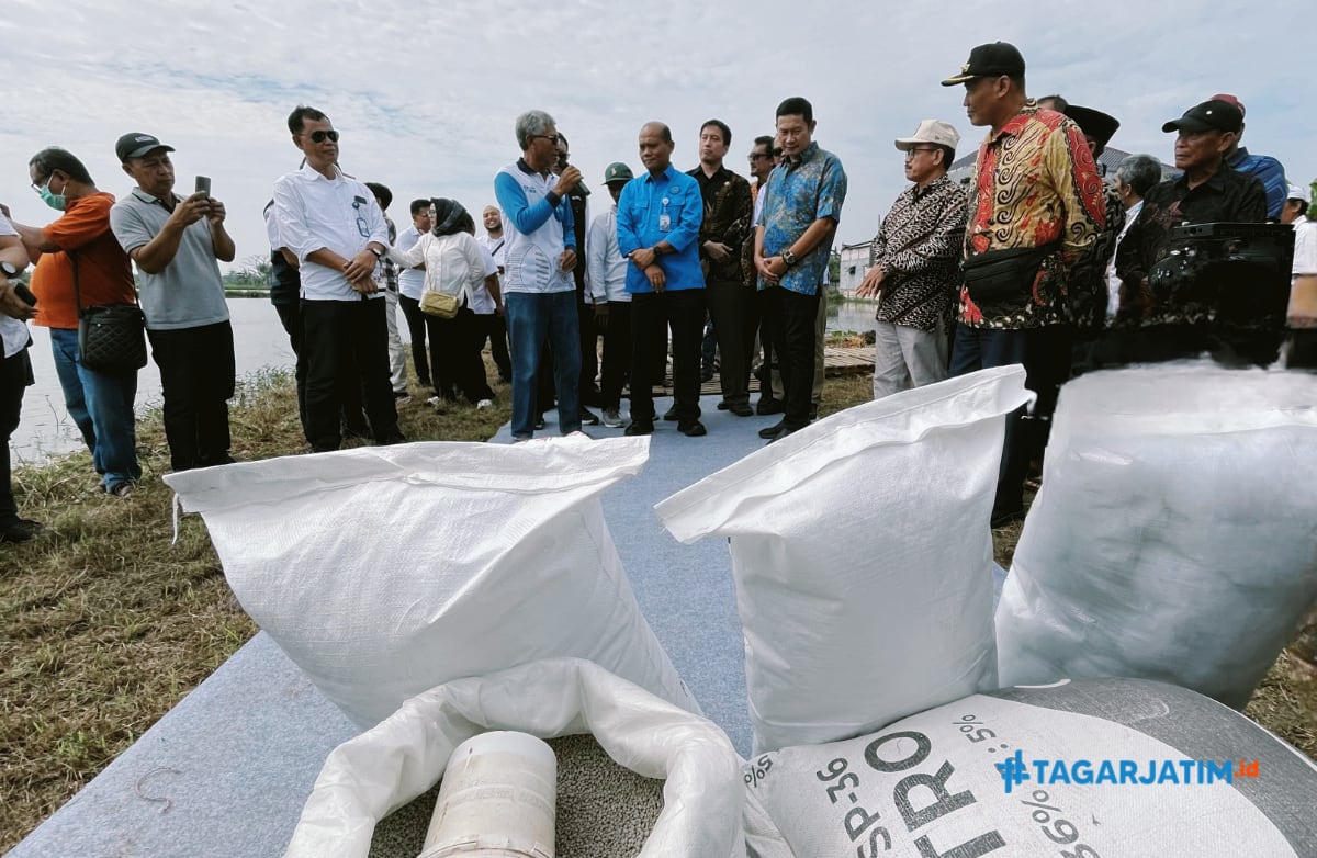 Dugaan Pupuk Bersubsidi Lintas Daerah, DKPP Lamongan Pastikan Stok Aman