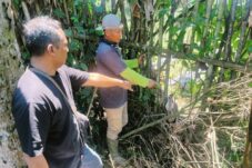 Polsek Poncokusumo Tangka 2 Pencuri Ratusan Kilo Jeruk