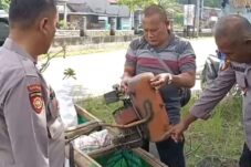 Warga Gagalkan Pencurian Kompresor di Taman, Pelaku Terancam Lima Tahun Penjara 7 Warga Gagalkan Pencurian Kompresor di Taman, Pelaku Terancam Lima Tahun Penjara