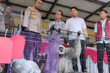 Polresta Sidoarjo Ungkap Perdagangan Satwa Dilindungi Jaringan Internasional 8 Polresta Sidoarjo Ungkap Perdagangan Satwa Dilindungi Jaringan Internasional
