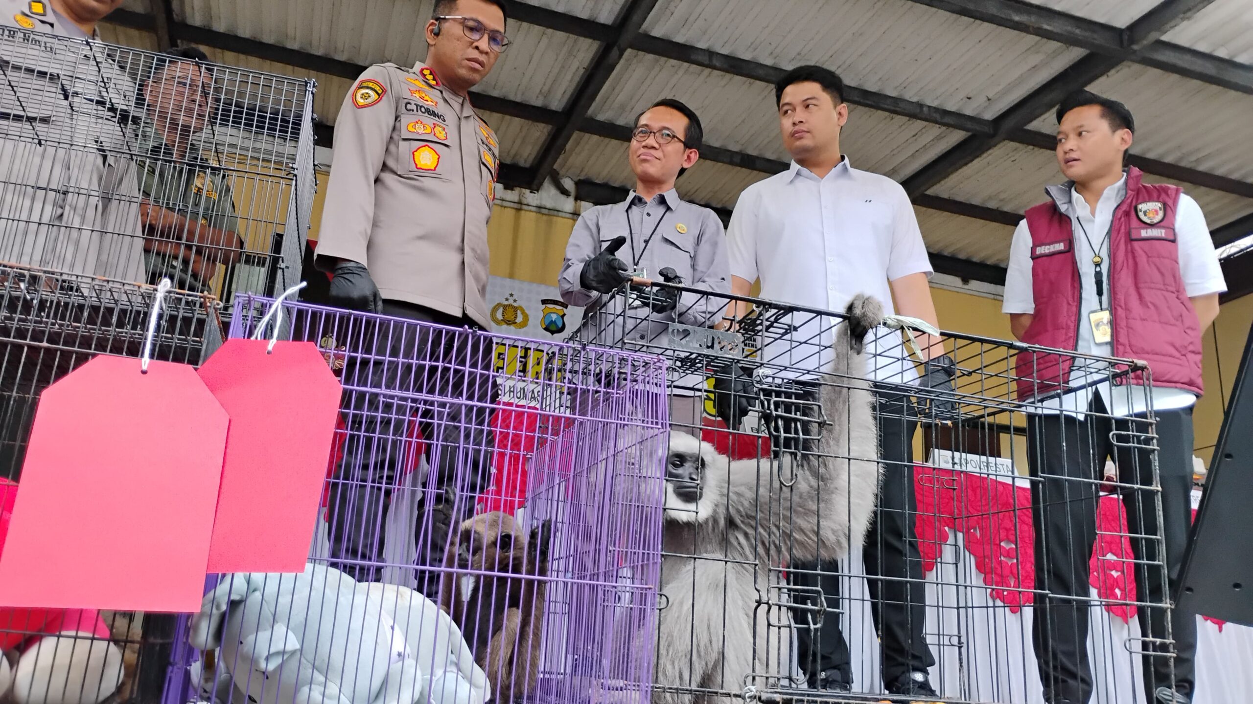 Polresta Sidoarjo Ungkap Perdagangan Satwa Dilindungi Jaringan Internasional