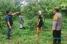Terduga Pencuri Ratusan Kg Jeruk di Poncokusumo Diamankan Polisi 14 Terduga Pencuri Ratusan Kg Jeruk di Poncokusumo Diamankan Polisi