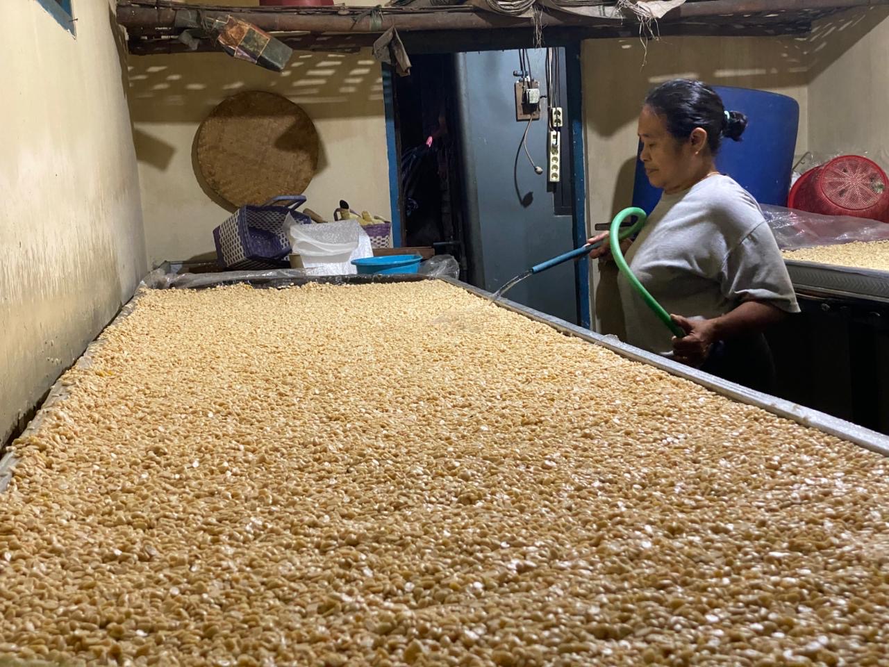Harga Kedelai Naik, Produsen Tempe di Kota Batu Terancam Gulung Tikar 3 Harga Kedelai Naik, Produsen Tempe di Kota Batu Terancam Gulung Tikar