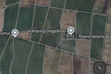 Dari Hunian Buruh Zaman Belanda, Onggoboyo Kini Jadi Kampung Tanpa Kepastian Lahan 6 Dari Hunian Buruh Zaman Belanda, Onggoboyo Kini Jadi Kampung Tanpa Kepastian Lahan