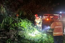 Beruntun Dihantam Longsor dan Pohon Tumbang, Jalur Payung Kota Batu Sempat Lumpuh