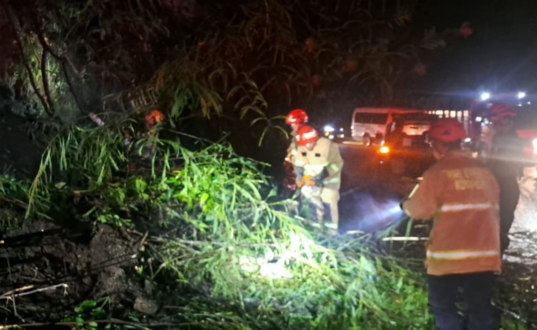 Beruntun Dihantam Longsor dan Pohon Tumbang, Jalur Payung Kota Batu Sempat Lumpuh