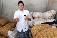 Tembus Pasar Modern! Kentang Batu Naik Kelas Berkat Koperasi CooSAE 15 Tembus Pasar Modern! Kentang Batu Naik Kelas Berkat Koperasi CooSAE