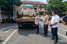 Polres Blitar Kota Sita 1.000 Liter Biosolar Subsidi Ilegal, Dari Truk Modifikasian