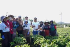 IPM Melonjak, Kemiskinan dan Pengangguran di Kota Batu Turun Serentak 2 IPM Melonjak, Kemiskinan dan Pengangguran di Kota Batu Turun Serentak