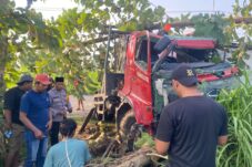 Truk Tangki Tabrak Pohon di Lamongan, Diduga Sopir Kurang Konsentrasi 3 Truk Tangki Tabrak Pohon di Lamongan, Diduga Sopir Kurang Konsentrasi