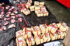 PMI Jember Bagikan Daging Kurban dengan Besek Bambu dan Daun Pisang 19 PMI Jember Bagikan Daging Kurban dengan Besek Bambu dan Daun Pisang