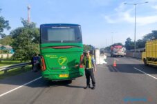 Bus Transjatim Tabrak Truk di KM 748 Tol Waru Sidoarjo 12 Bus Transjatim Tabrak Truk di KM 748 Tol Waru Sidoarjo