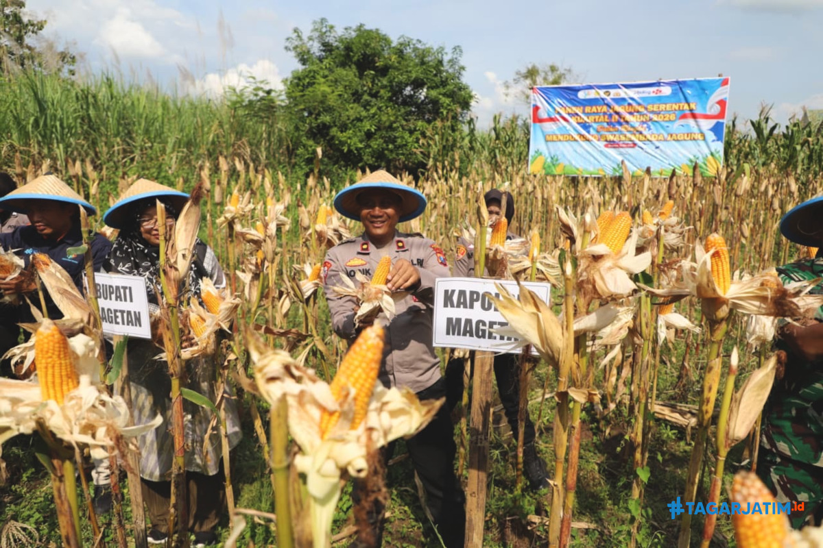 Polres Magetan Panen Raya Jagung Wujud Nyata Dukung Swasembada Pangan Nasional