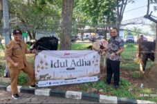 Idul Adha Berkah, BKMS Bersama Tenant JIIPE Manyar Gresik Bagikan Puluhan Hewan Kurban 6 Idul Adha Berkah, BKMS Bersama Tenant JIIPE Manyar Gresik Bagikan Puluhan Hewan Kurban