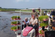 Wamentan Pastikan Indonesia Siap Hadapi El Nino, Cadangan Beras Nasional Capai 28 Juta Ton 11 Wamentan Pastikan Indonesia Siap Hadapi El Nino, Cadangan Beras Nasional Capai 28 Juta Ton