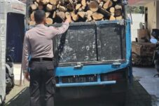 Polisi Ungkap Dugaan Pembalakan Liar di Hutan Sumbermanjing Wetan 6 Polisi Ungkap Dugaan Pembalakan Liar di Hutan Sumbermanjing Wetan