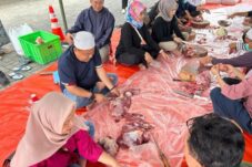 RSUD Karsa Husada Batu Tebar Kepedulian Idul Adha, Salurkan 1 Sapi dan 3 Kambing Kurban 5 9ecf321e cf18 4991 8152 ccb30a932baa