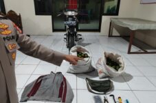 Polisi Ringkus Dua Pencuri Jeruk di Turen Malang, Satu Pelaku Residivis 1 Polisi Ringkus Dua Pencuri Jeruk di Turen Malang, Satu Pelaku Residivis