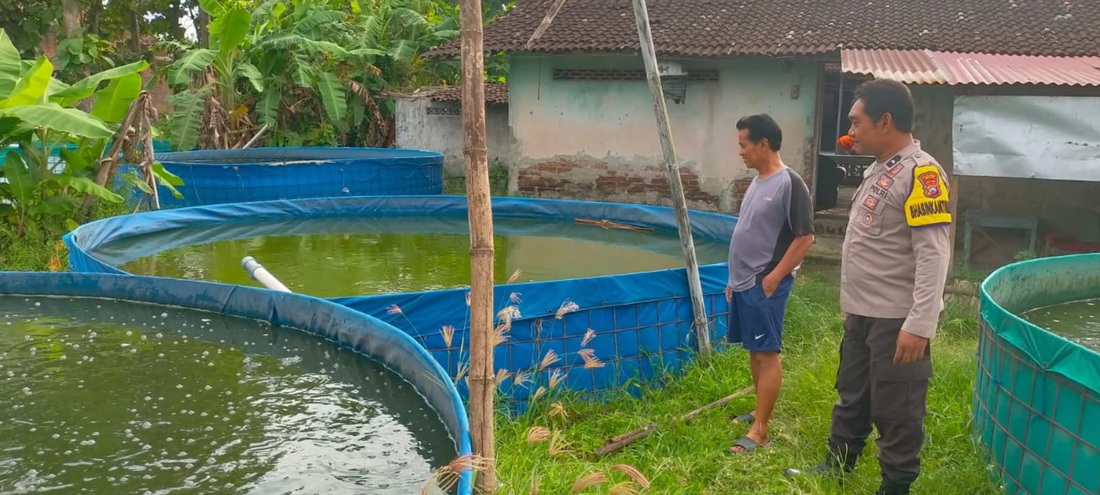 Bhabinkamtibmas Polsek Widodaren Ngawi Dampingi Budidaya Lele Warga Demi Ketahanan Pangan