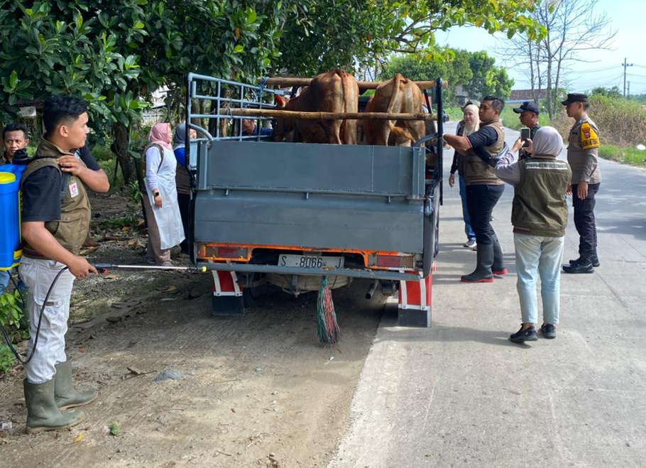 Jelang Idul Adha, Polisi dan Dinas Peternakan Perketat Pengawasan Ternak di Perbatasan Lamongan–Jombang